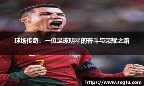 球场传奇：一位足球明星的奋斗与荣耀之路