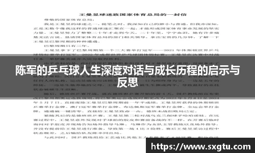 陈军的乒乓球人生深度对话与成长历程的启示与反思