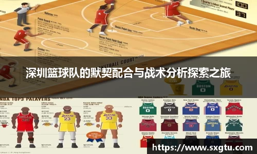 深圳篮球队的默契配合与战术分析探索之旅